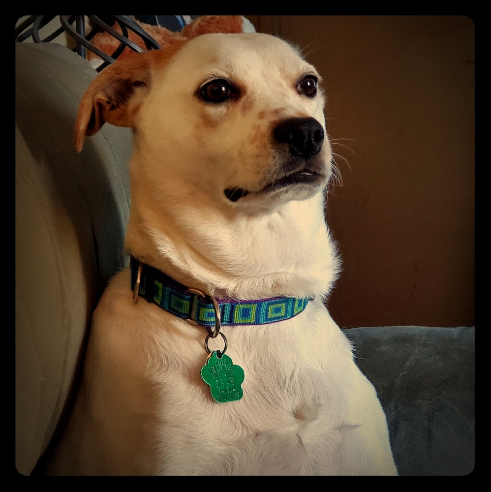 Meet your Posher, Linda